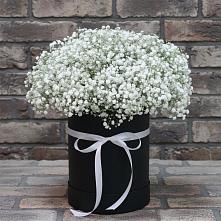 Цветочная композиция из Гипсофила в шляпной коробке #REPLACE_PRED# Горнозаводске