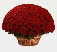 Премиум букет из: Розы #REPLACE_PRED# Горнозаводске